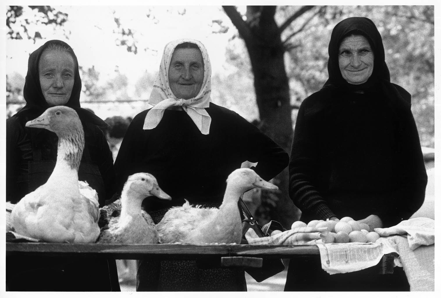 Berengo Gardin Storie Di Un Fotografo News Parioli Fotografia Scuola Di Fotografia A Roma