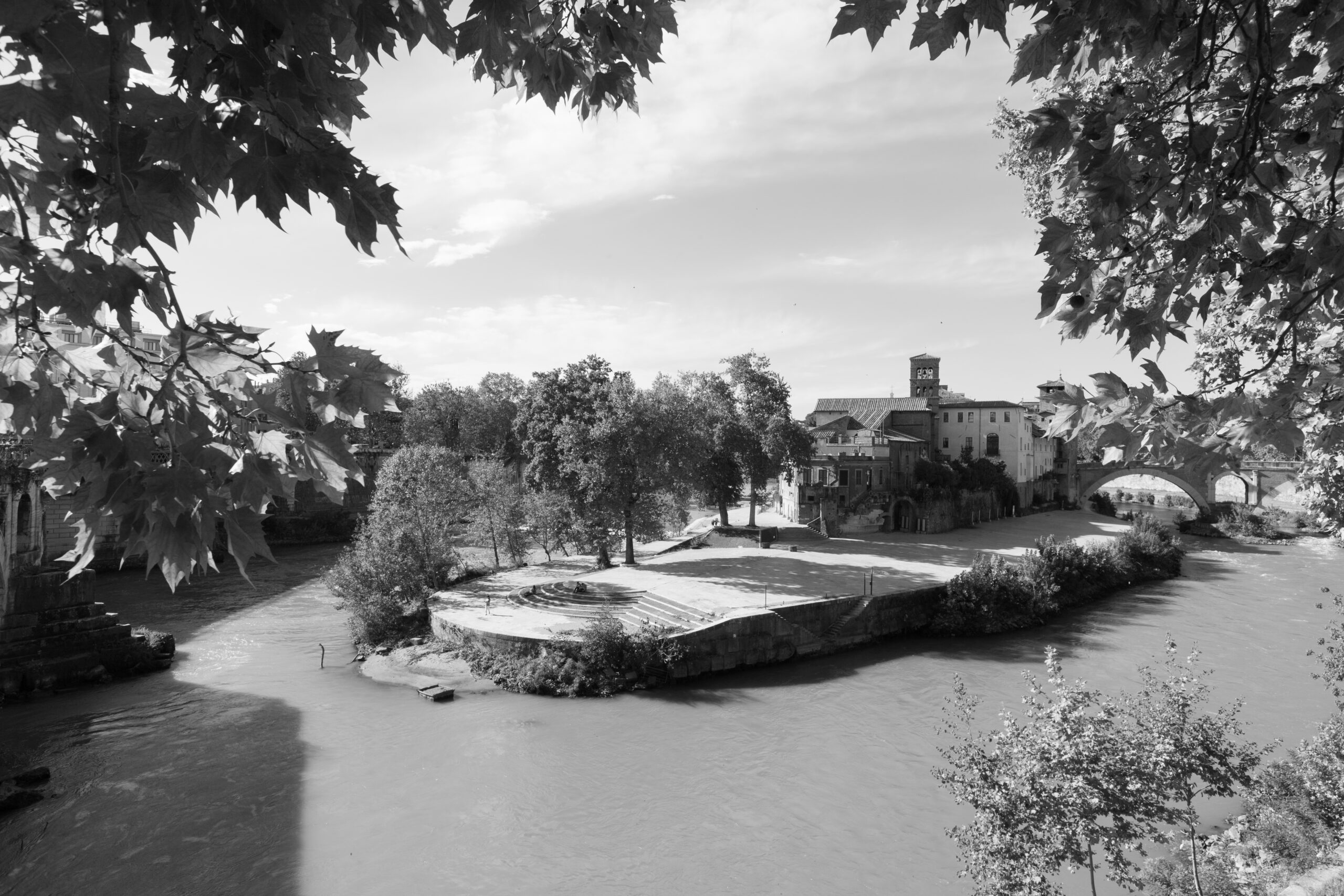 Parioli Fotografia | Roma nel 2025. Giubileo, Rinnovamento e Tradizione, una Capitale che Abbraccia il Mondo. Parioli Fotografia | Roma nel 2025. Giubileo, Rinnovamento e Tradizione, una Capitale che Abbraccia il Mondo.