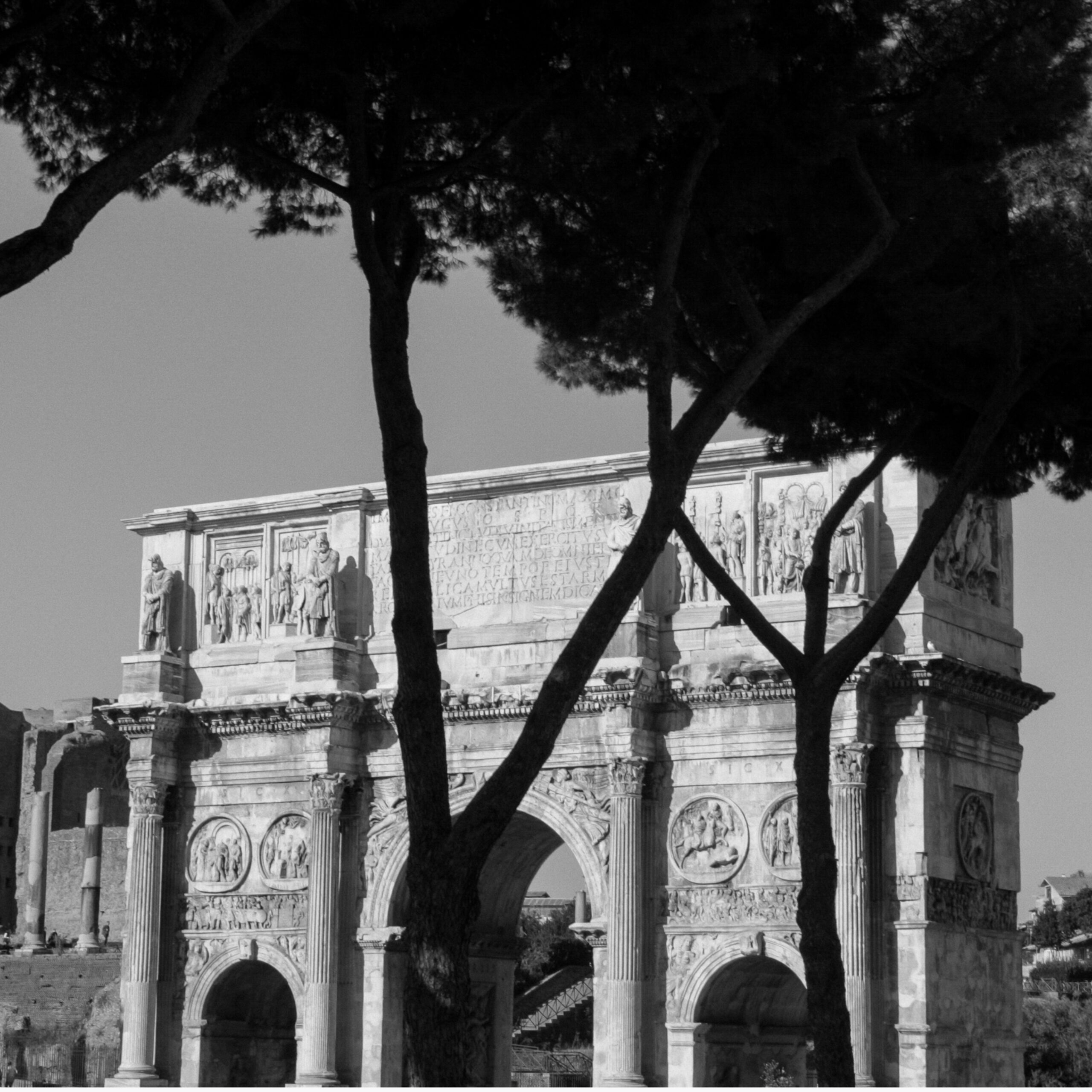 Parioli Fotografia | Roma nel 2025. Giubileo, Rinnovamento e Tradizione, una Capitale che Abbraccia il Mondo. Parioli Fotografia | Roma nel 2025. Giubileo, Rinnovamento e Tradizione, una Capitale che Abbraccia il Mondo.