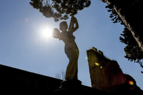 Parioli Fotografia|Sample Page